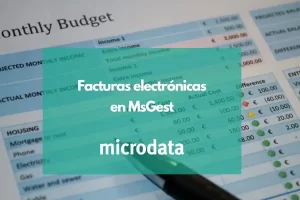 Facturación electrónica con MsGest
