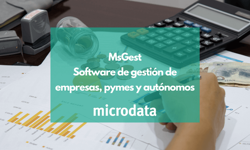 Software de gestión de empresas y pymes MsGest